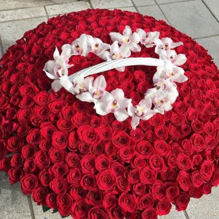 Корзина из 501 красной розы с орхидеей