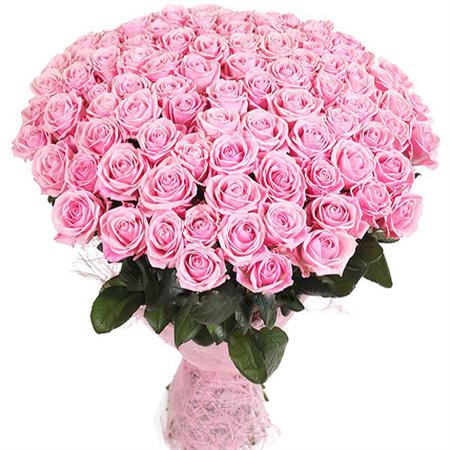 Букет 101 нежно-розовая роза 50 см «Лав Анлимитед»