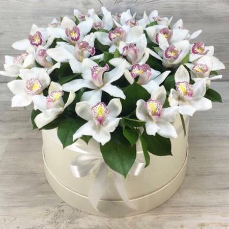 Букет "Шляпная коробка из 25 белых орхидей "Другое чувство""